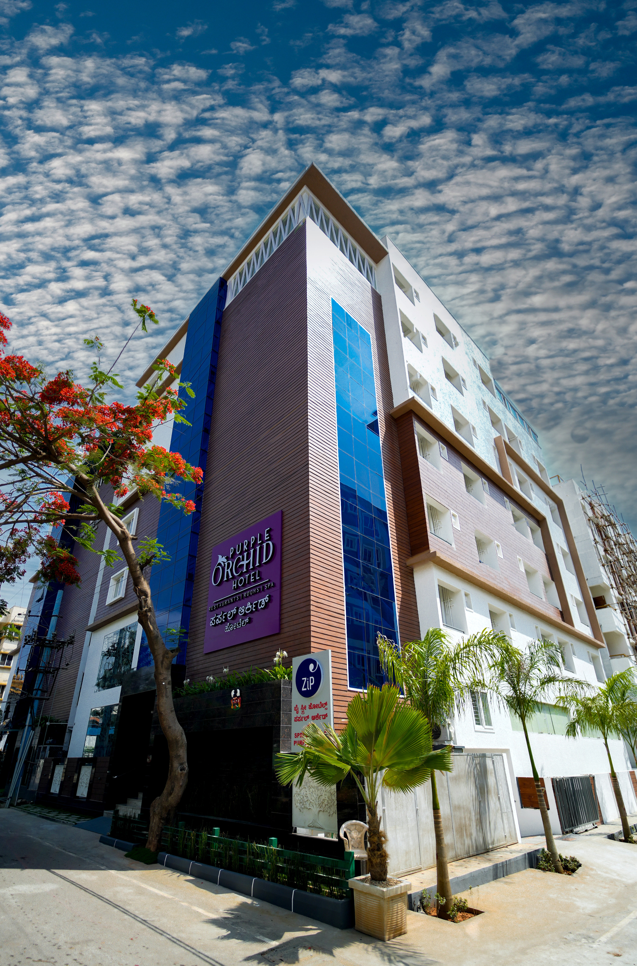 Zip By Spree Hotels Purple Orchid Whitefield,Whitefield,3 star